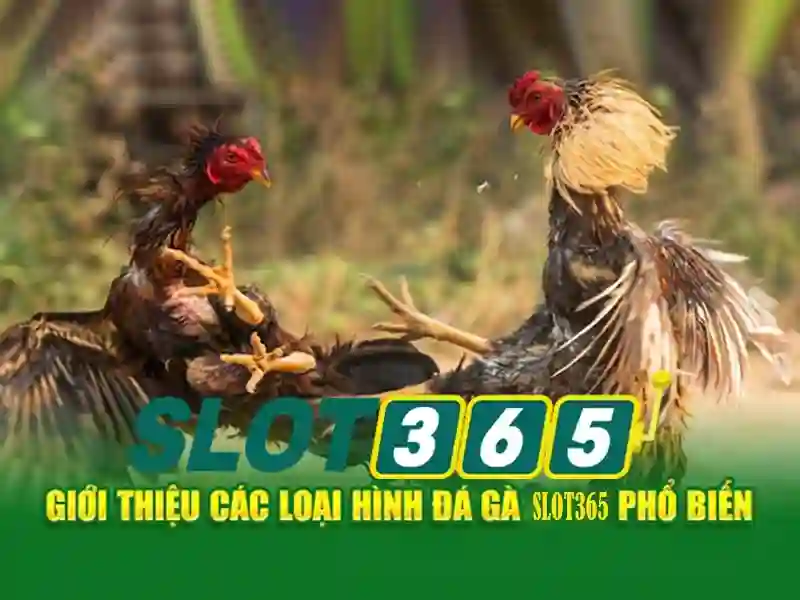 Slot365 chính thức – Tổng quan chủ đề và giá trị cốt lõi