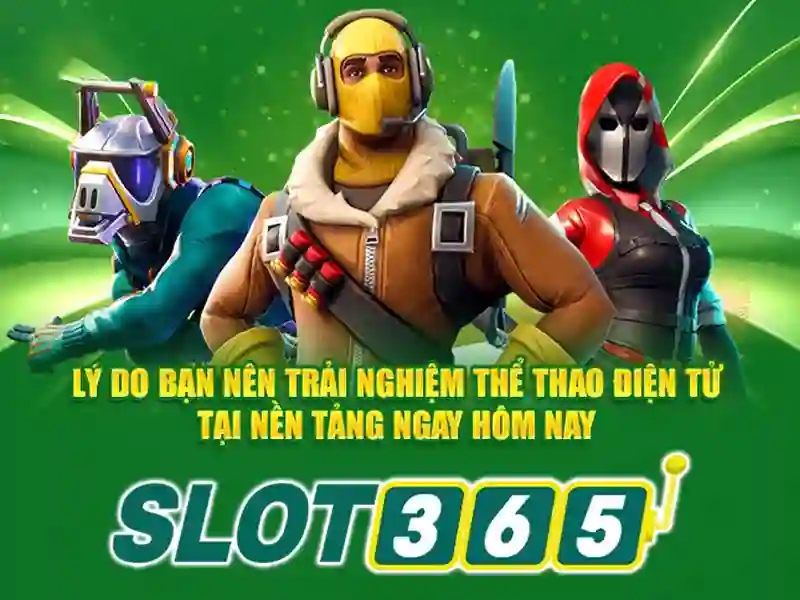 Giao diện và trải nghiệm người dùng