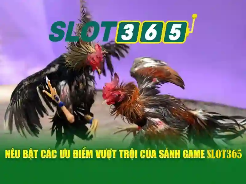 Slot365 - Nền tảng trò chơi đánh bạc trực tuyến nổi bật
