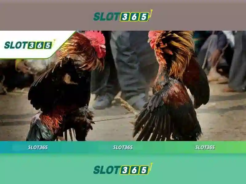 Đánh giá các tính năng của Slot365