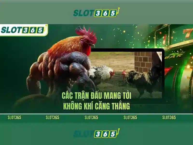 Slot365 – Nền tảng slot trực tuyến tại Việt Nam