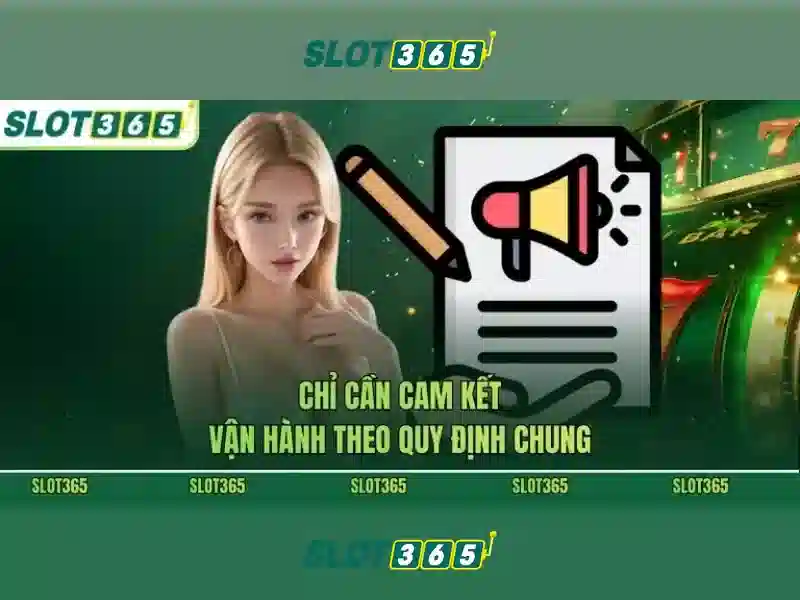 Phản hồi người dùng và cộng đồng