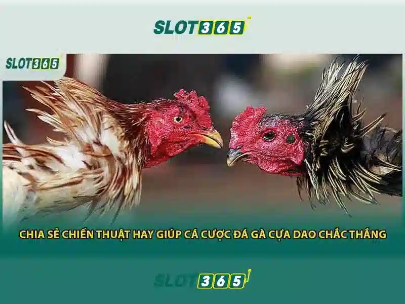 Slot365 — Nền tảng slot trực tuyến hàng đầu