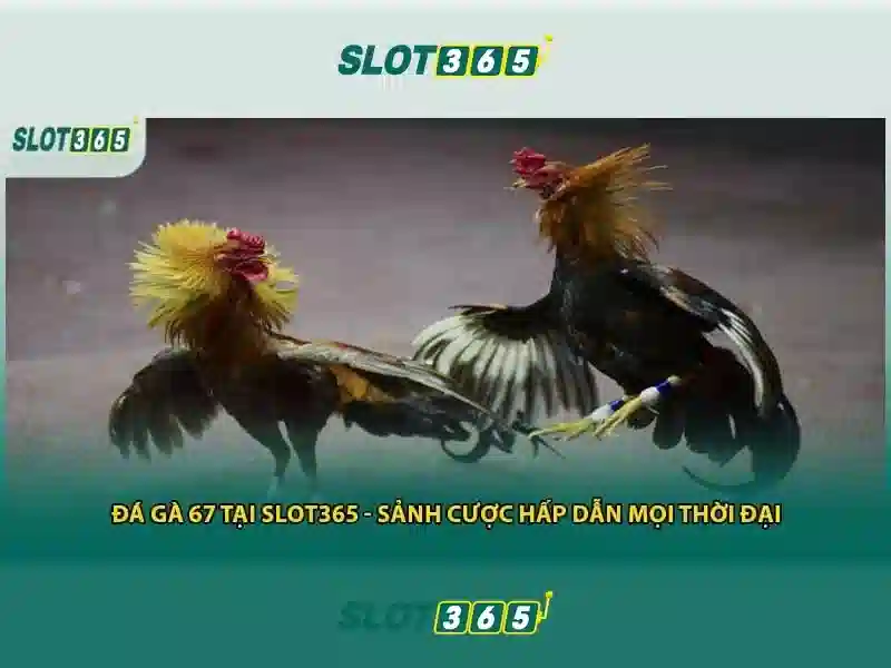 asia slot365 login – Tổng quan chủ đề và giá trị cốt lõi