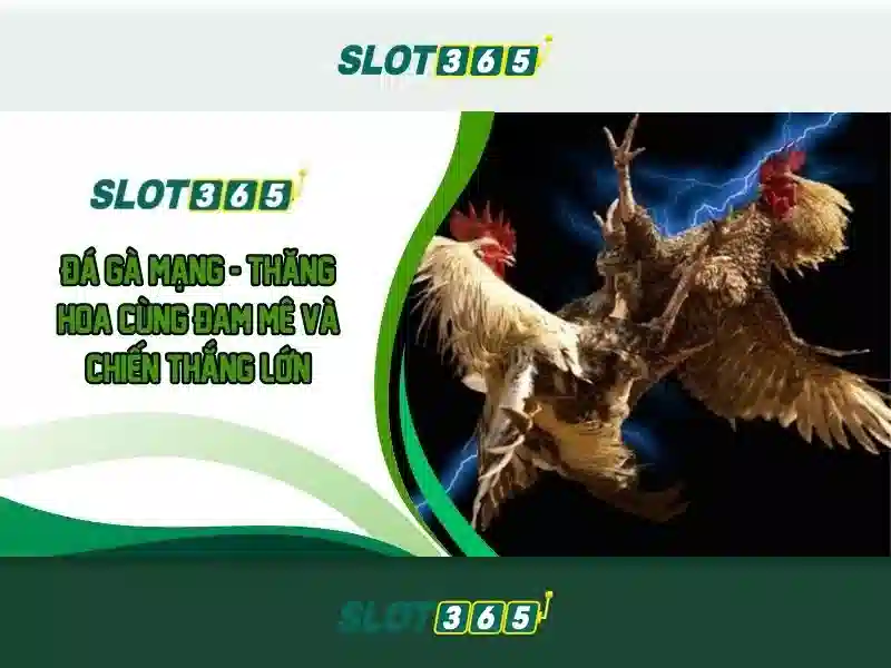 Slot365: Đánh giá tổng quan về nền tảng casino trực tuyến