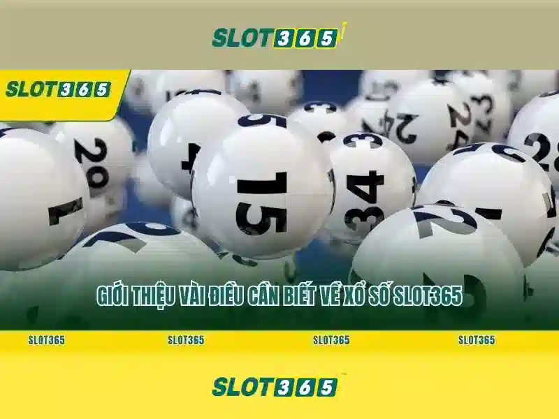 Tổng quan về slot365 tái