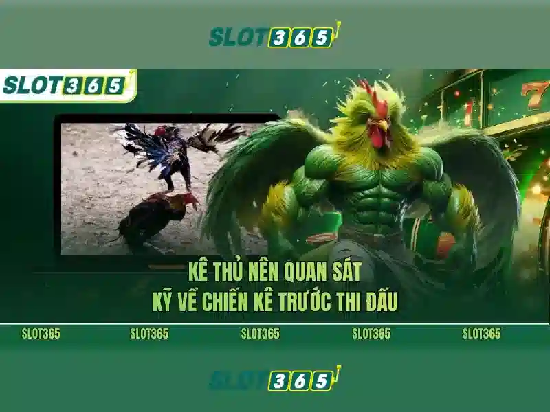 Slot365: Nền tảng slot online uy tín