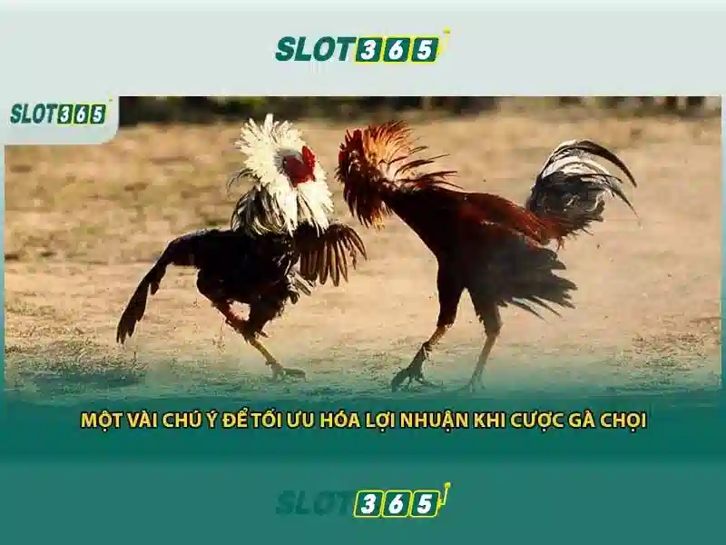 Nguồn gốc từ khóa và sứ mệnh Slot365