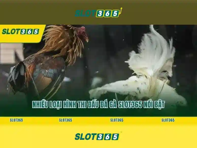 Giao diện nhà cái hoàn hảo