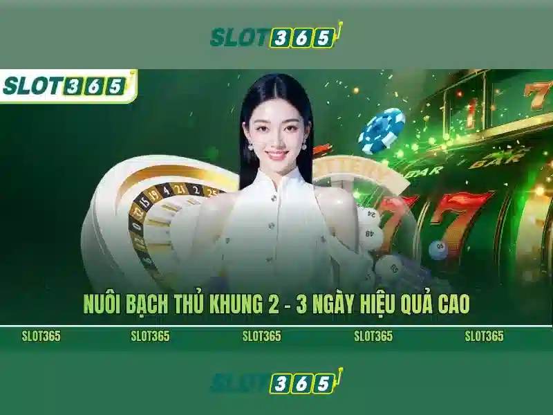 live slot365 login – Trải nghiệm đăng nhập Slot365 an toàn