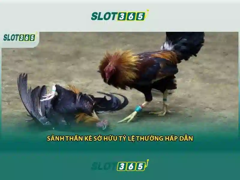Trò chơi và trải nghiệm trên Slot365