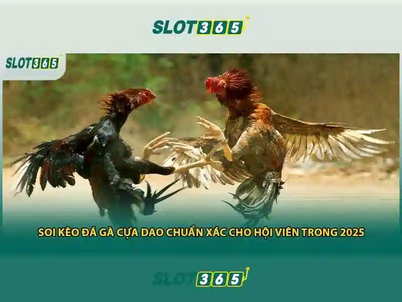 live slot365 login – Trải nghiệm và đánh giá Slot365 Giao diện nhà cái hoàn hảo
