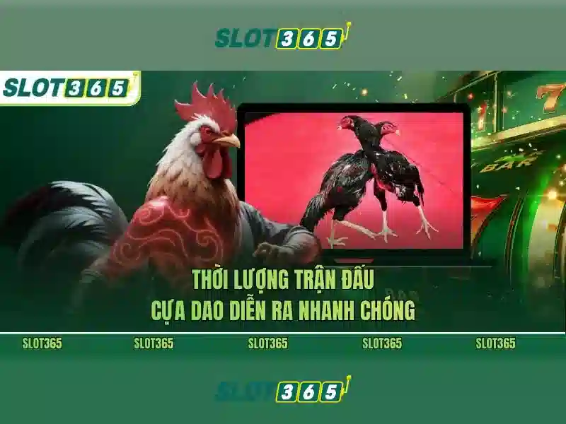 Giao diện nhà cái hoàn hảo