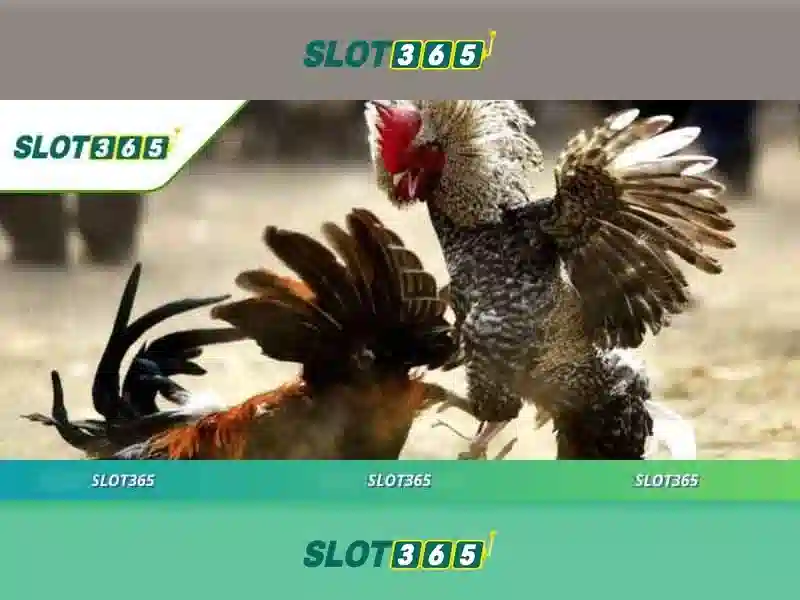Slot365 - Tổng quan về nền tảng trò chơi xèng trực tuyến Giao diện nhà cái hoàn hảo