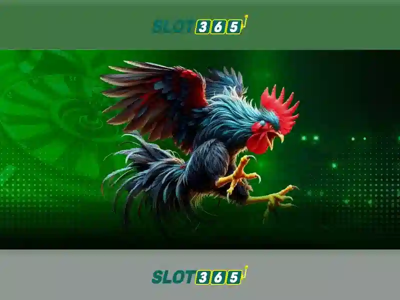 Slot365 - Nền tảng chơi slot trực tuyến đáng tin cậy