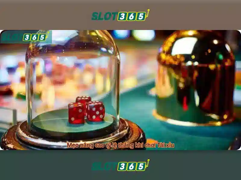 Slot365: Khám phá nền tảng slot trực tuyến đẳng cấp
