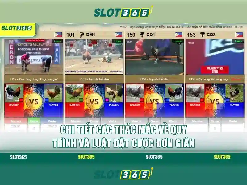 Giao diện nhà cái hoàn hảo