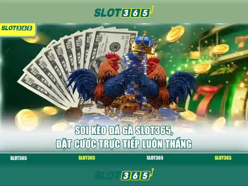 An toàn và công bằng