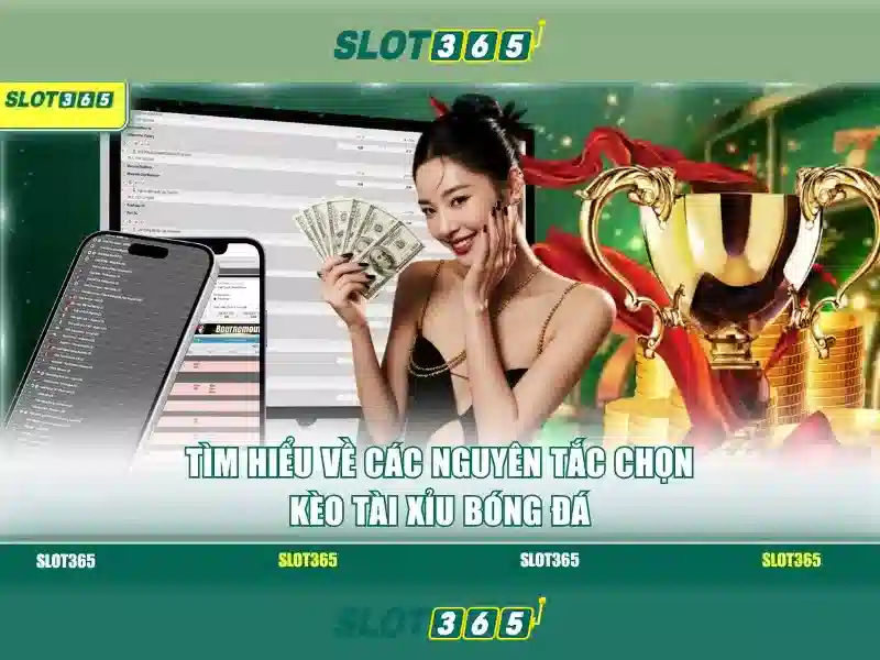 Phản hồi người dùng