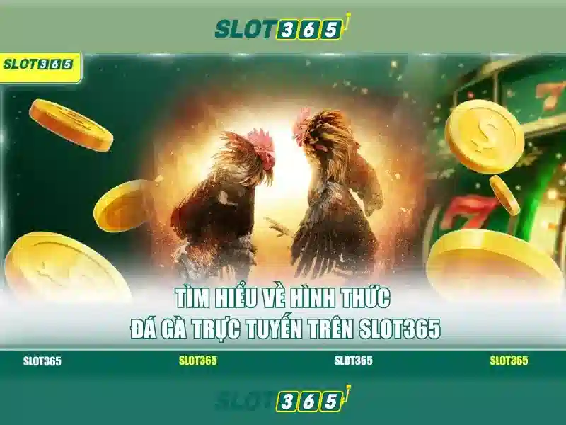 Slot365: Trải nghiệm chơi slot đỉnh cao trực tuyến
