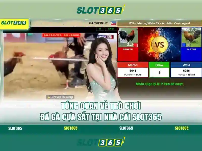 An toàn và đáng tin cậy tại Slot365
