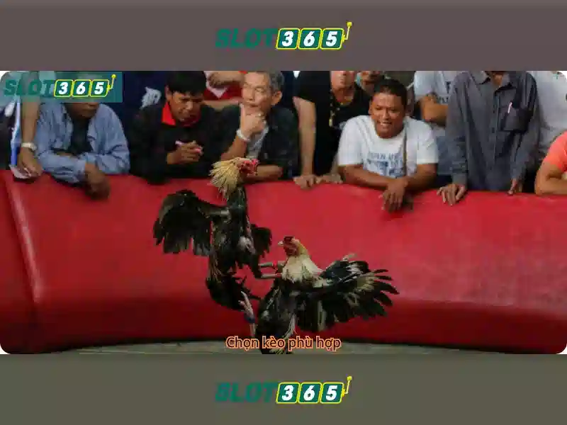 Slot365: Đánh giá toàn diện và hướng dẫn chơi