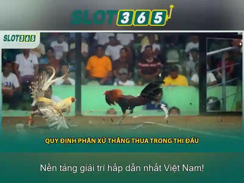 Slot365: Trải nghiệm máy xèng trực tuyến hàng đầu