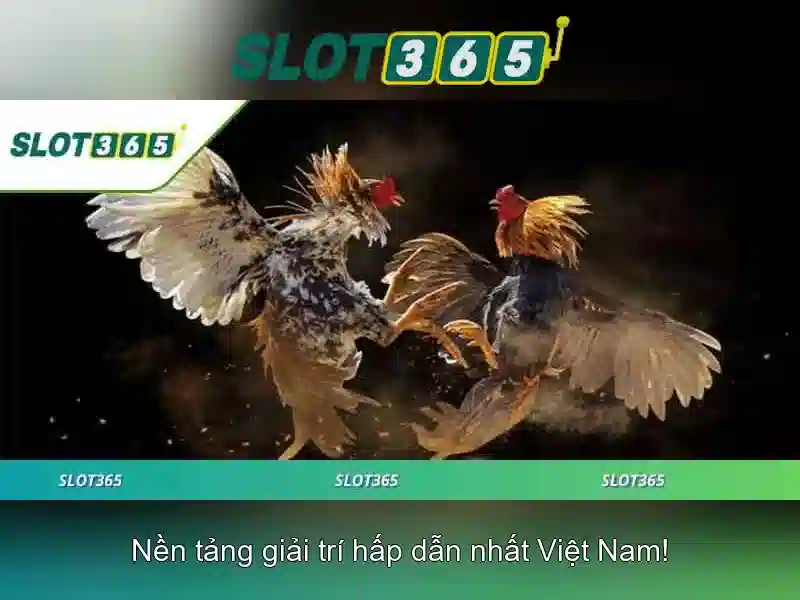 Slot365: Nền tảng slot trực tuyến đáng tin cậy