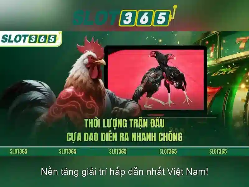 Slot365: Trải nghiệm các trò chơi slot tuyệt vời