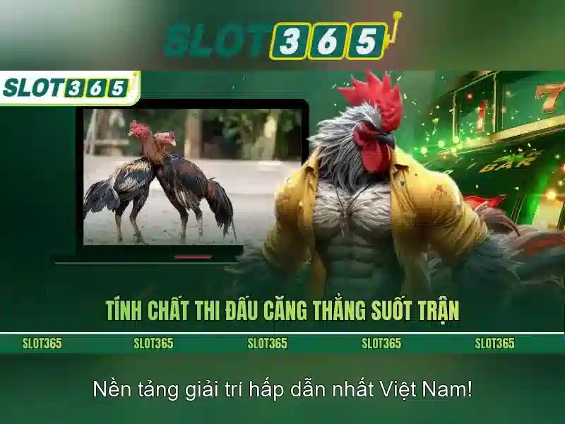 Slot365: Đánh giá và hướng dẫn chơi máy đánh bạc trực tuyến Giao diện nhà cái hoàn hảo