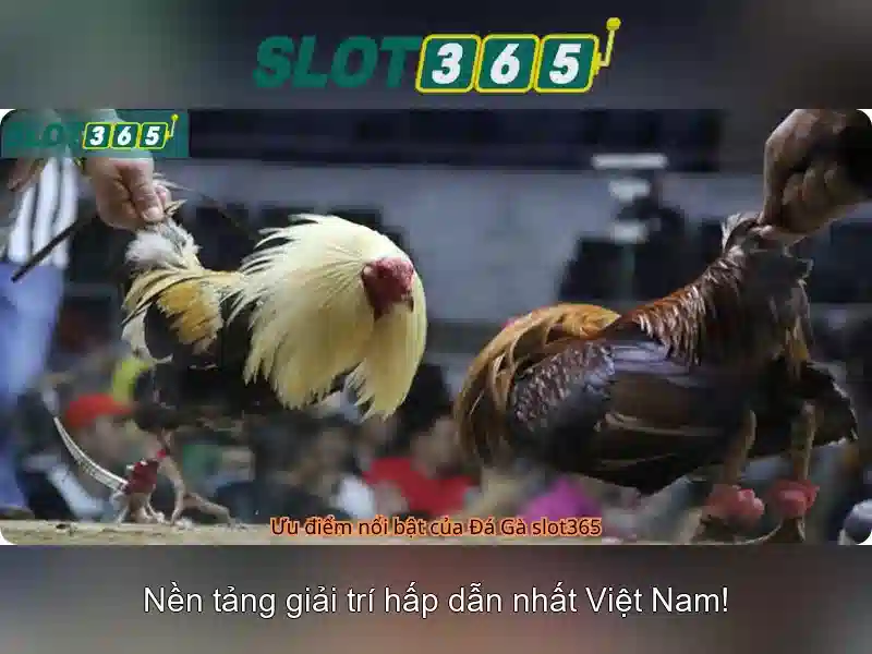 'Slot365 – Nền tảng slot trực tuyến đáng tin cậy'<p><span style=