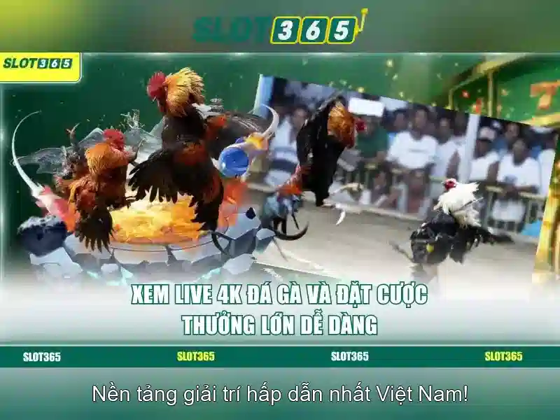 Slot365: Trải nghiệm chơi slot trực tuyến đáng tin cậy Giao diện nhà cái hoàn hảo