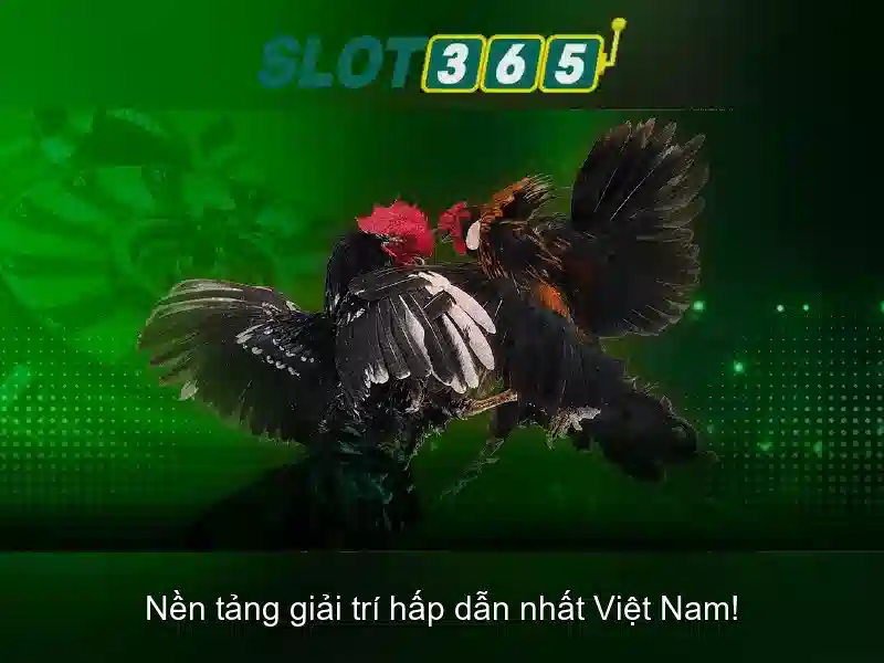 Slot365 - Nền tảng máy đánh bạc trực tuyến