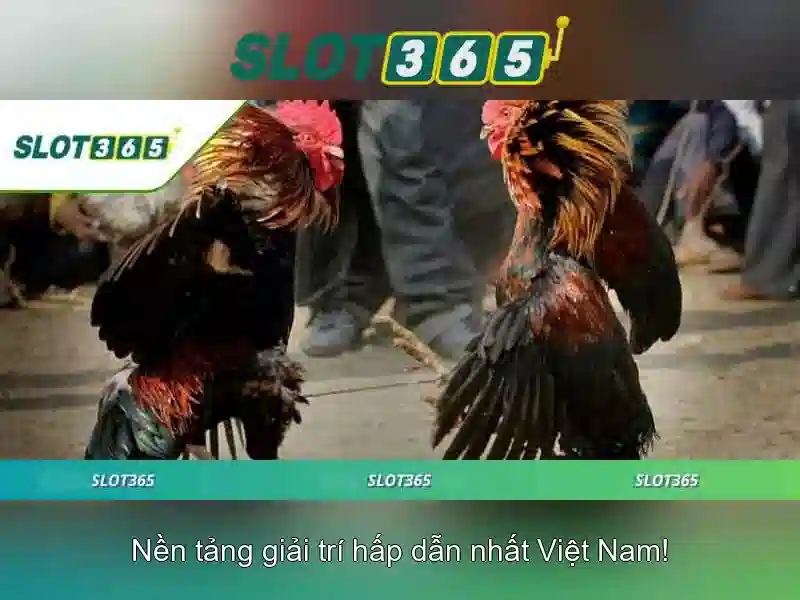Slot365: Nền tảng trò chơi quay số trực tuyến đáng tin cậy