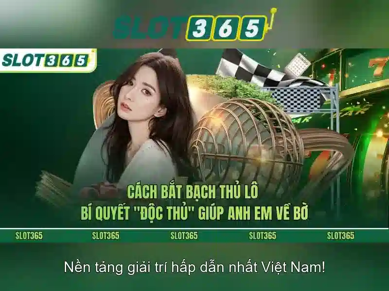 Slot365: Giới thiệu Giao diện nhà cái hoàn hảo