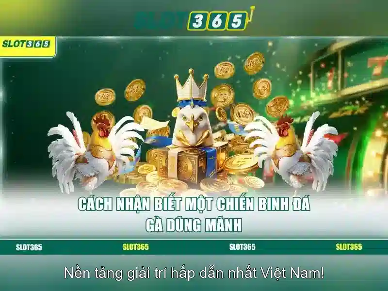 Slot365 uy tín không – đánh giá và trải nghiệm người dùng