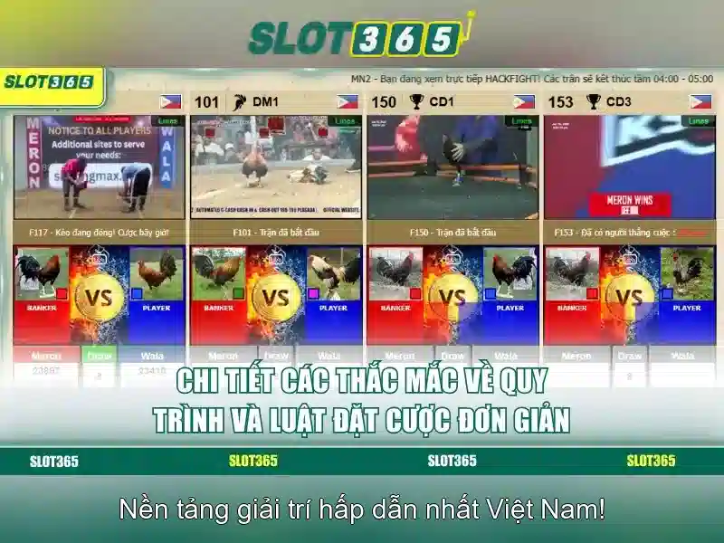slot365 app – Trải nghiệm đỉnh cao và uy tín