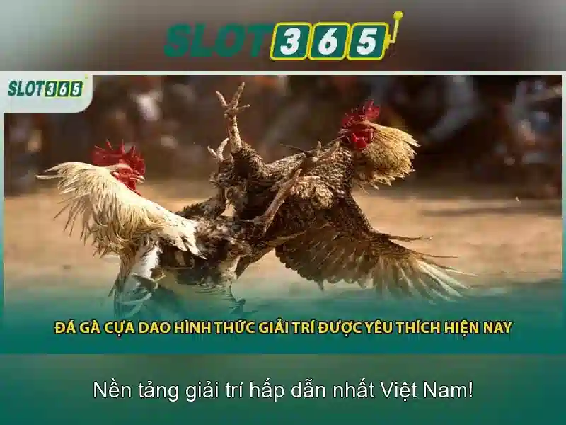 Slot365: Nền tảng slot trực tuyến nổi bật