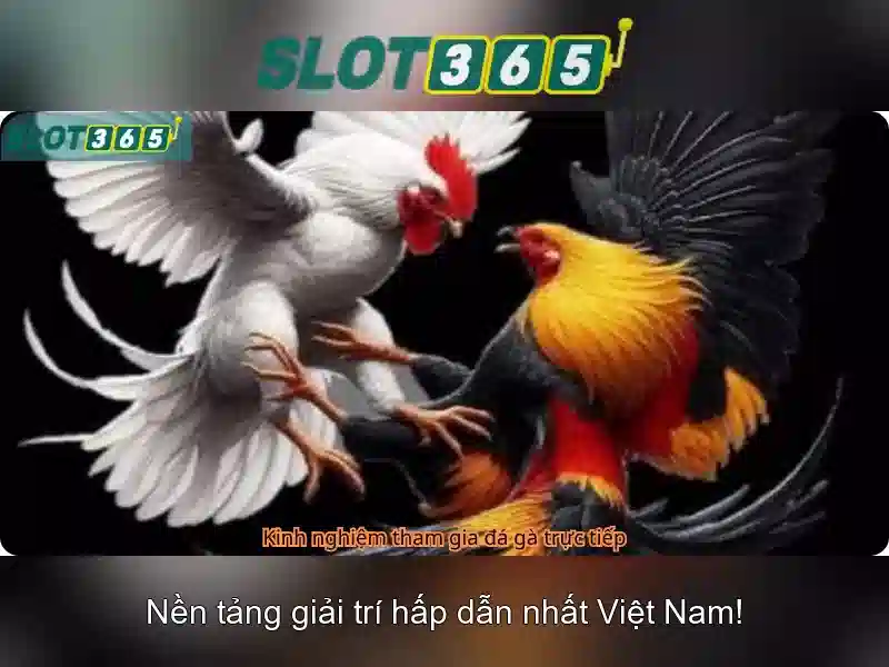 Giao diện và trải nghiệm người dùng