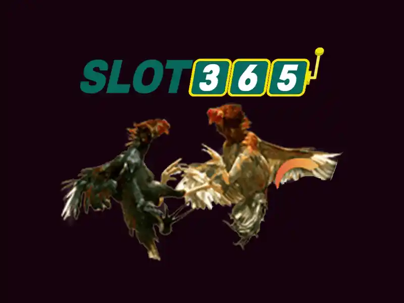 Slot365: Đánh giá và hướng dẫn chơi slot trực tuyến Giao diện nhà cái hoàn hảo
