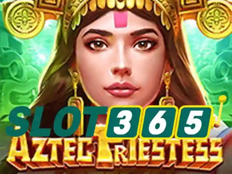 Slot365: Tổng quan về nền tảng trò chơi slot trực tuyến